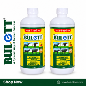 Bulett For Bulls