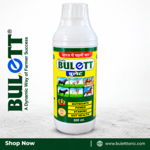 Bulett