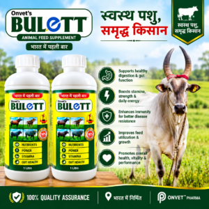Bulett Powerful Nutrition Supplement for Bulls