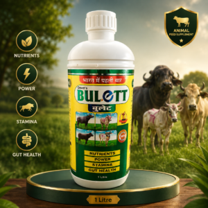 Bulett